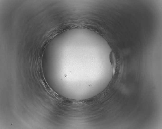 X0000078030757200610271042