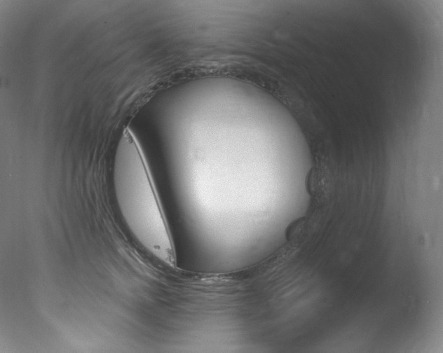 X0000078030758200610271042