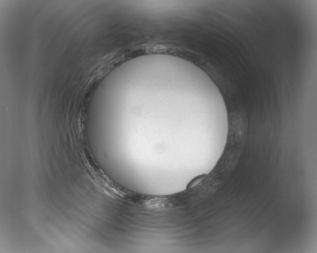 X0000078030761200610271042