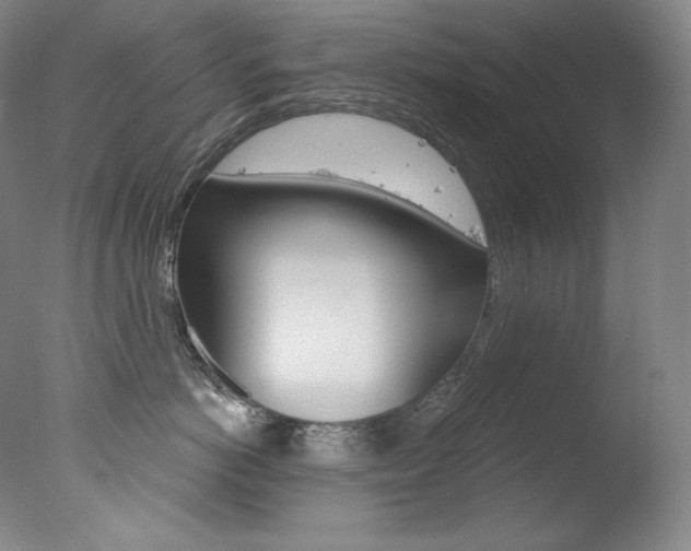 X0000078030766200610271042