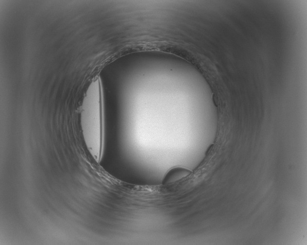 X0000078030768200610271042