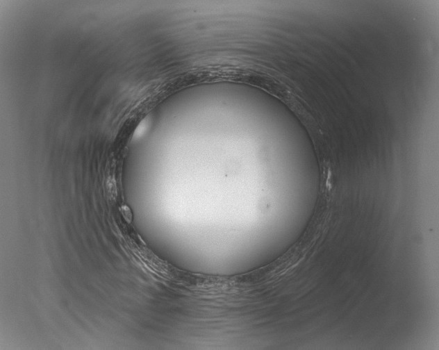 X0000078030771200610271041