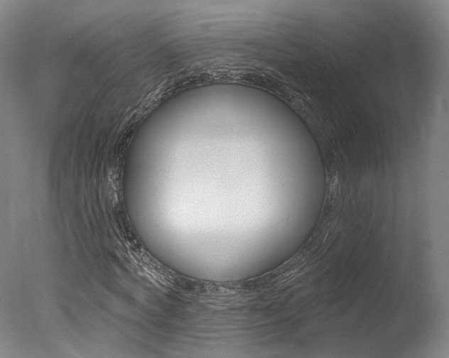 X0000078030772200610271041