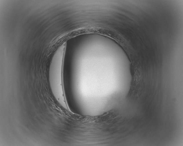 X0000078030773200610271041