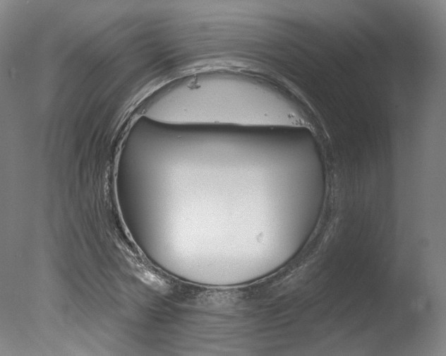 X0000078030778200610271041