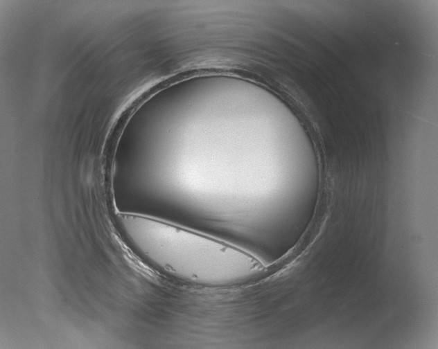 X0000078030779200610271041