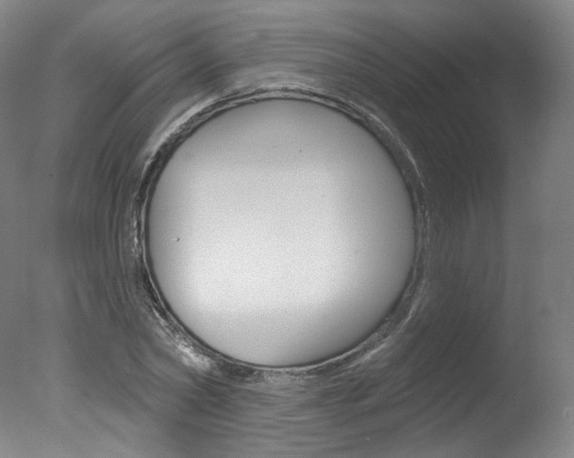 X0000078030782200610271041