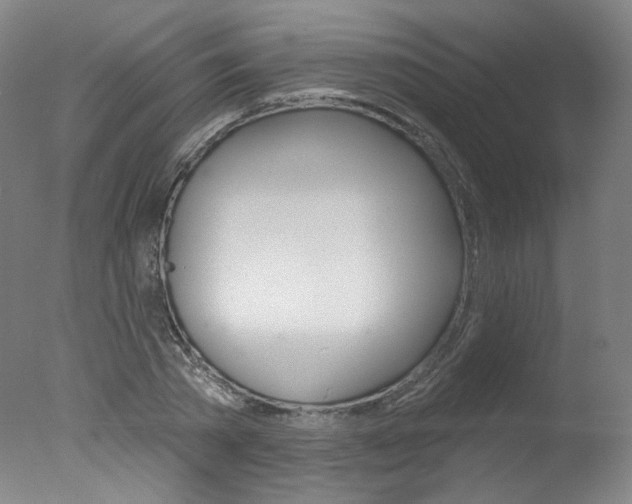 X0000078030785200610271041