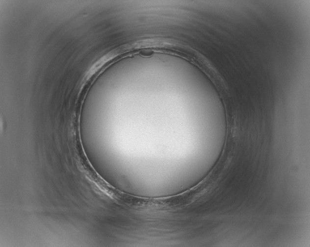 X0000078030786200610271041
