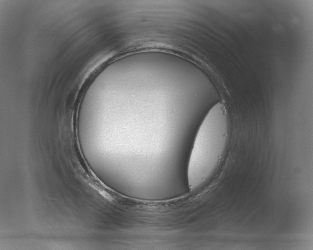 X0000078030790200610271041