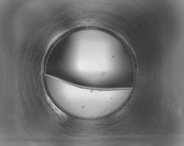 X0000078030791200610271041
