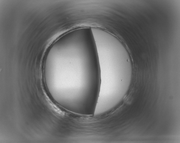 X0000078030795200610271041