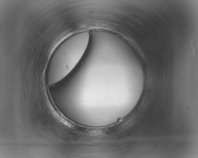 X0000078030798200610271041