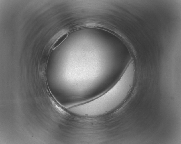 X0000078030801200610271041