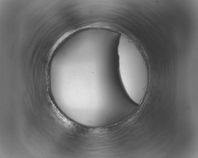 X0000078030808200610271040