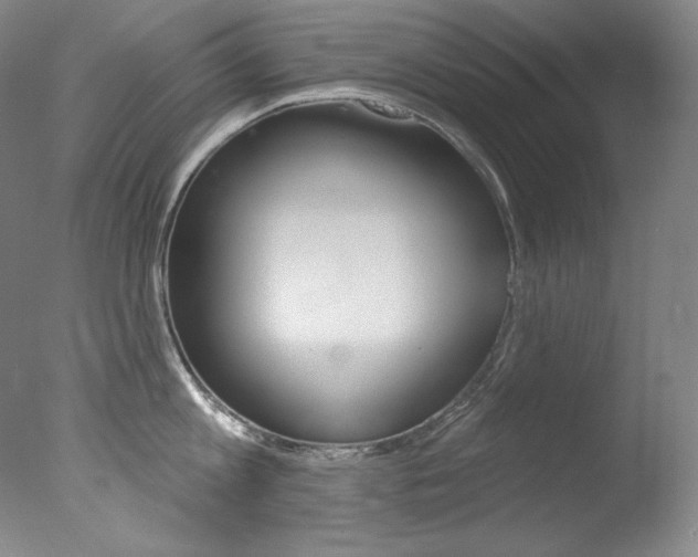 X0000078030813200610271040