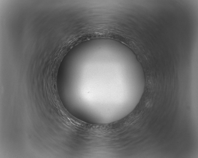X0000078030817200610271040