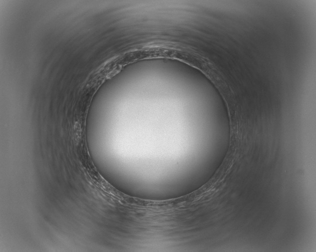 X0000078030821200610271040