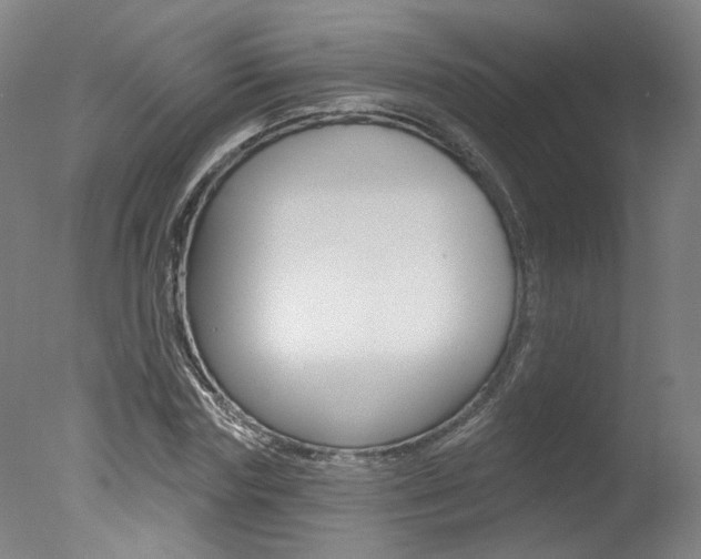 X0000078030827200610271040