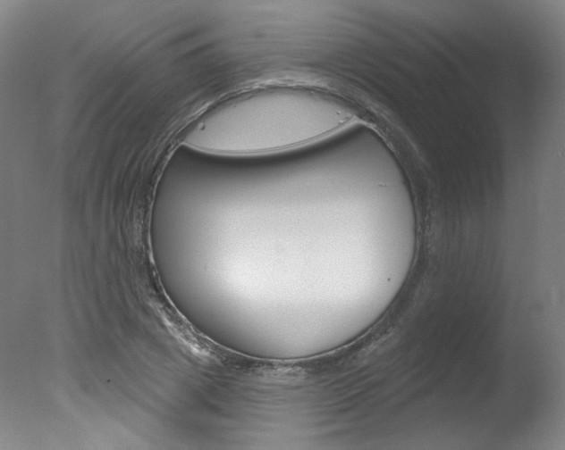 X0000078030833200610271040