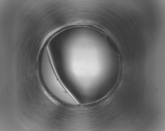 X0000078030838200610271040