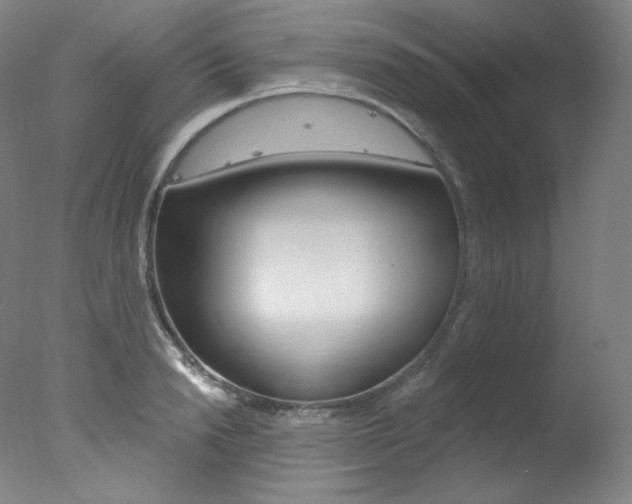 X0000078030846200610271040