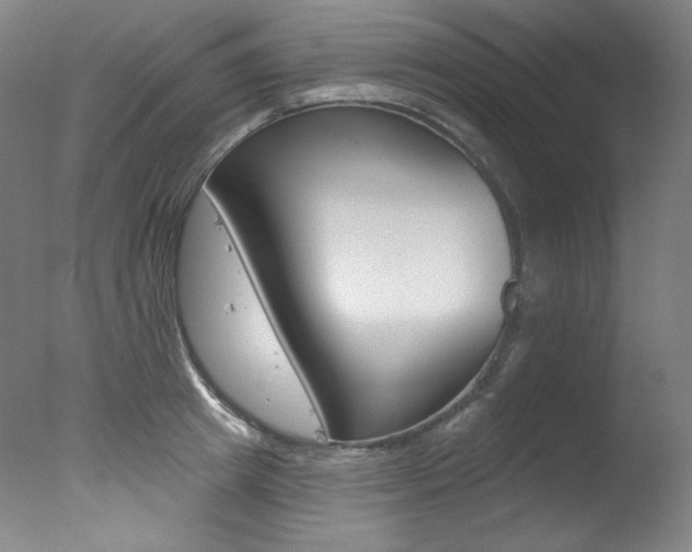X0000078030849200610271040