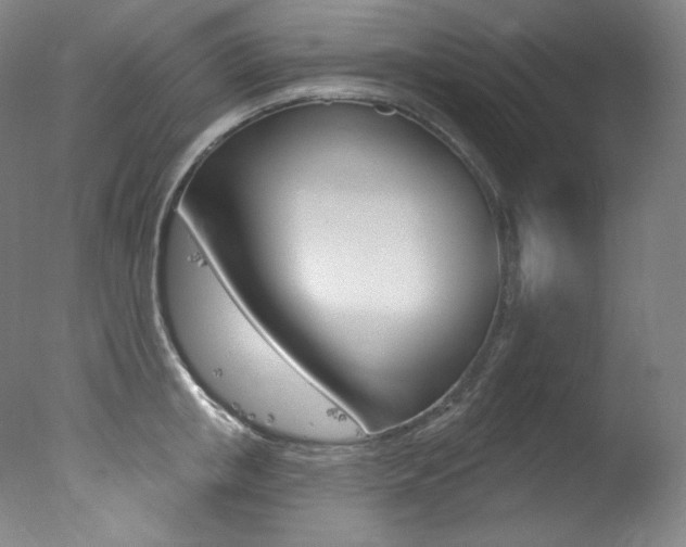 X0000078030853200610271040