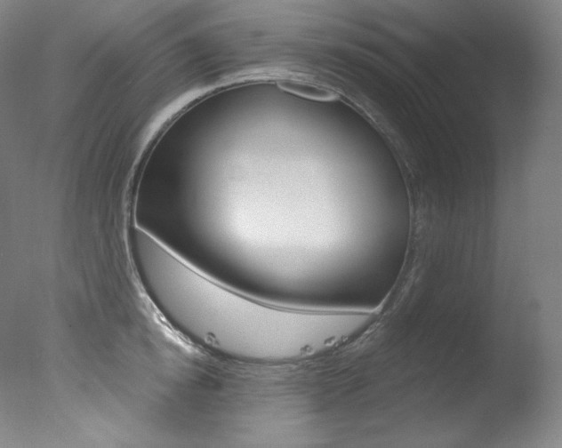 X0000078030854200610271040