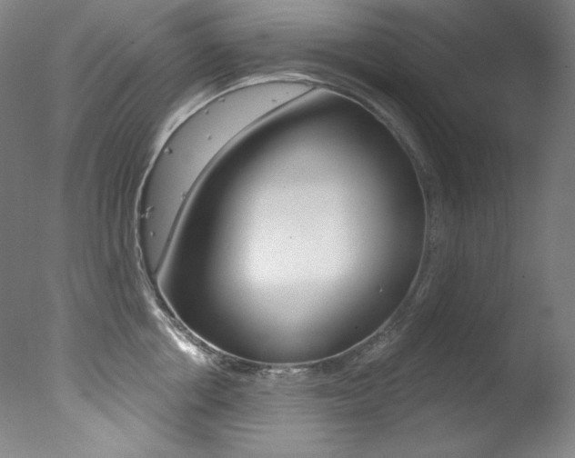 X0000078030858200610271040