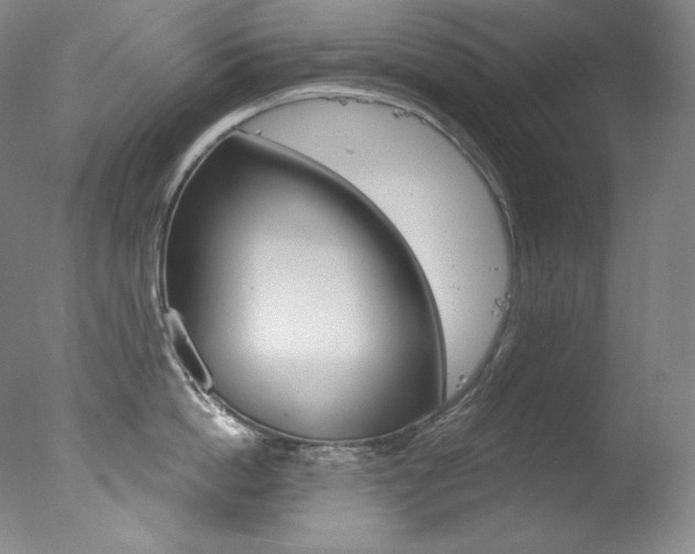 X0000078030862200610271040