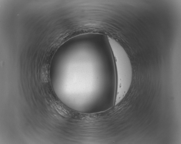 X0000078030868200610271039