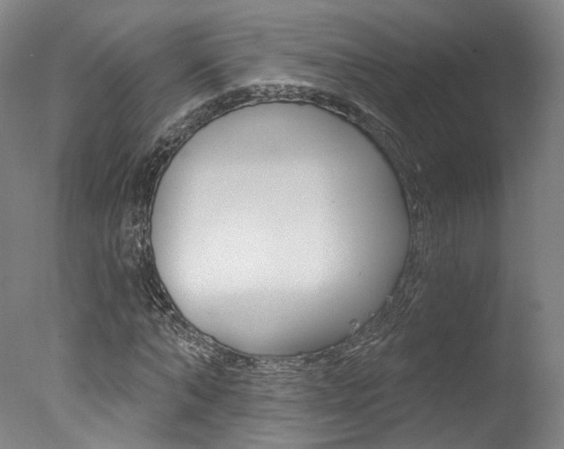 X0000078030870200610271039