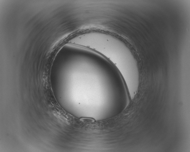 X0000078030872200610271039