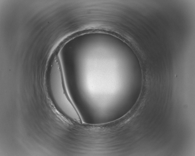 X0000078030880200610271039