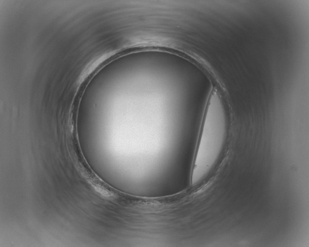 X0000078030885200610271039