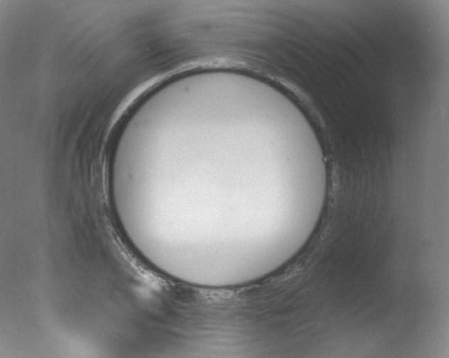X0000078030886200610271039