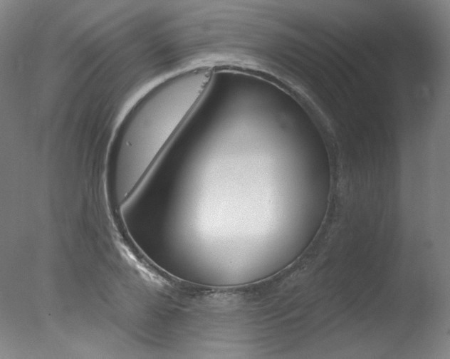 X0000078030888200610271039