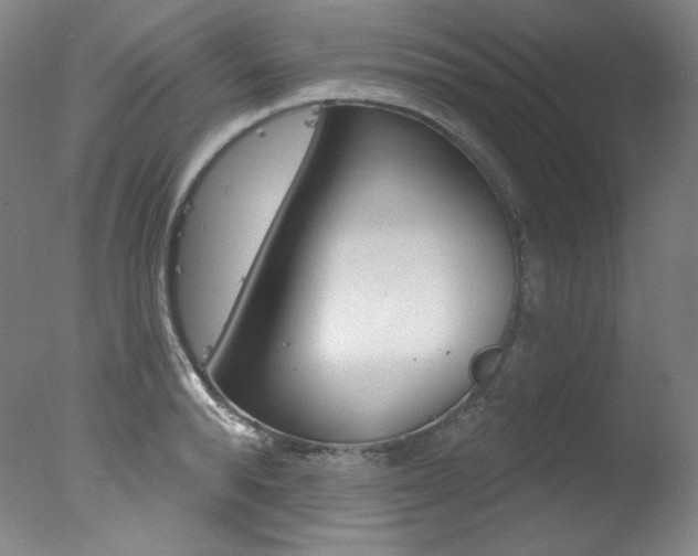 X0000078030896200610271039
