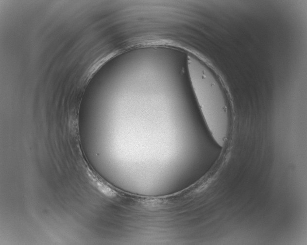 X0000078030897200610271039