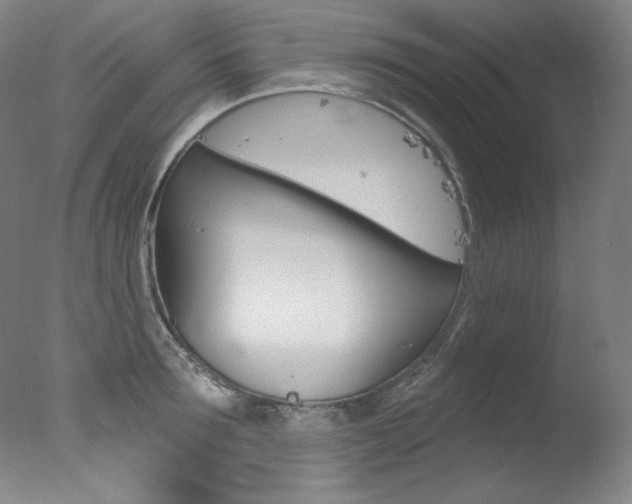 X0000078030899200610271039
