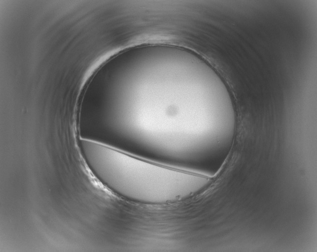 X0000078030904200610271039