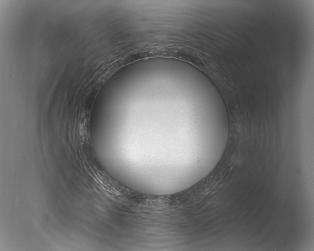 X0000078030914200610271038