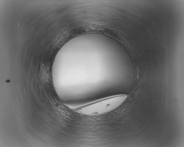 X0000078030915200610271038