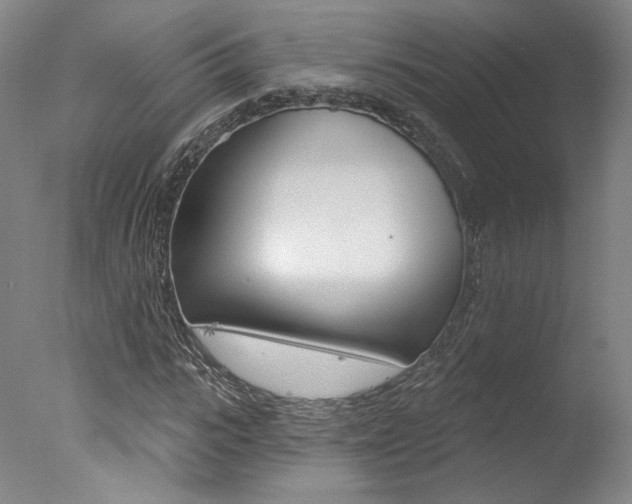 X0000078030919200610271038