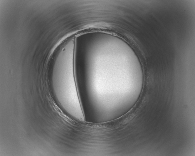 X0000078030923200610271038