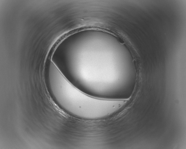X0000078030924200610271038