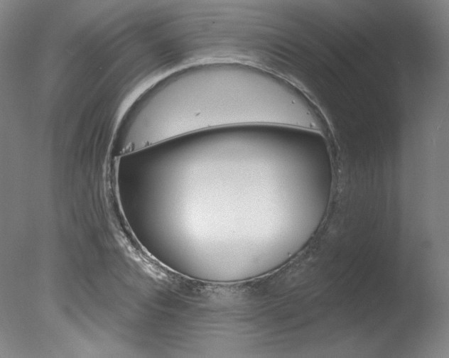 X0000078030928200610271038