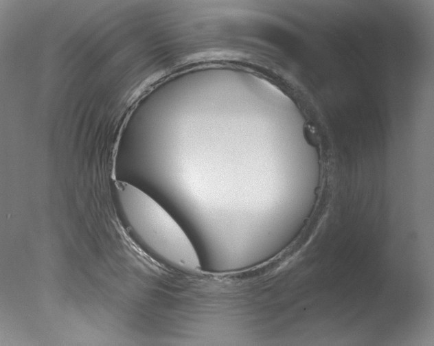 X0000078030929200610271038