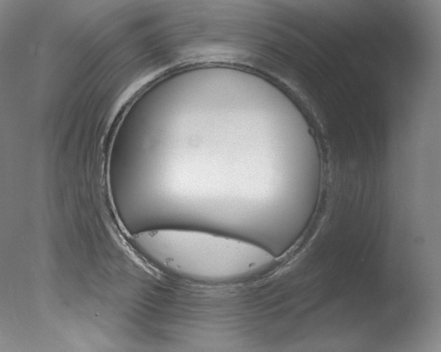 X0000078030933200610271038